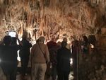 Cooma, Tumut & The Snowy Mountains 6 Day Tour