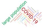 Hungarian public opinion on China in the age of COVID-19 - Enthusiasm overshadowed by skepticism?