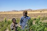 RESILIENCE EVALUATION, ANALYSIS AND LEARNING - Food Security ...