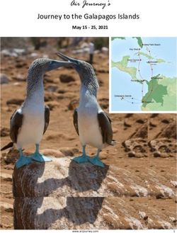 Journey to the Galapagos Islands - Air Journey's May 15 - 25, 2021