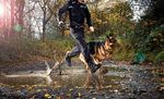 2017 / 2018 Emergency Services Footwear Range