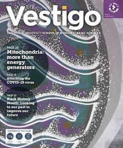 Mitochondria: more than energy generators - Vanderbilt University