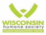 I've Found a Bat! What Should I Do? - Wisconsin Humane ...