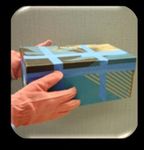 I've Found a Bat! What Should I Do? - Wisconsin Humane ...