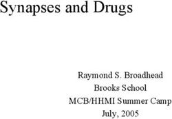 Synapses and Drugs Raymond S. Broadhead Brooks School MCB/HHMI Summer Camp July, 2005