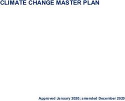 CLIMATE CHANGE MASTER PLAN - Approved January 2020; amended December 2020 - Documents