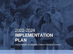 IMPLEMENTATION PLAN 2022-2024 - HonorHealth Scottsdale Osborn Medical Center