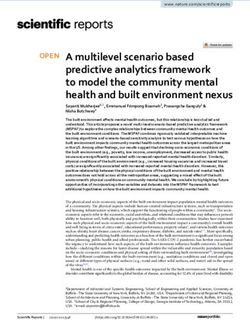 A multilevel scenario based predictive analytics framework to model the community mental health and built environment nexus