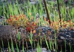 Preparing Australia for future extreme bushfire events - Delivering science and technology to reduce the impact of fire on Australia's people ...