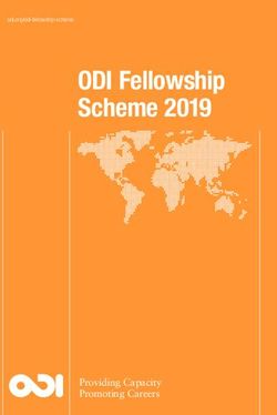 ODI Fellowship Scheme 2019 - Providing Capacity Promoting Careers - odi.org