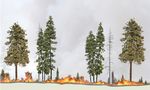 WILDFIRE RESILIENCE INSURANCE: Summary of Insights Quantifying the Risk Reduction of Ecological Forestry with Insurance - Willis Towers Watson