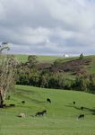 COUNCIL PLAN Incorporating the Health & Wellbeing Plan 2017 2021 - STRATEGIC RESOURCE PLAN UPDATED JUNE 2020 - Surf Coast Shire