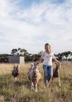 COUNCIL PLAN Incorporating the Health & Wellbeing Plan 2017 2021 - STRATEGIC RESOURCE PLAN UPDATED JUNE 2020 - Surf Coast Shire