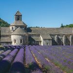 Group Packages New 2018 ! - Luberon, coeur de provence