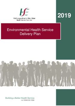 2019 Environmental Health Service Delivery Plan