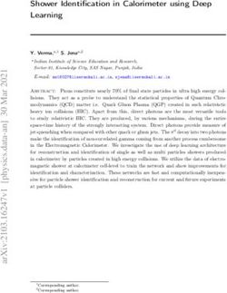 Shower Identification in Calorimeter using Deep Learning