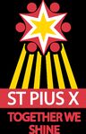 SPX 2020 - Together We Shine - THE ST PIUS X CATHOLIC SCHOOL - St Pius X Primary School