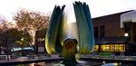Marshall University Aetna Student HealthSM