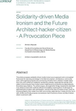 Solidarity-driven Media Ironism and the Future Architect-hacker-citizen - A Provocation Piece