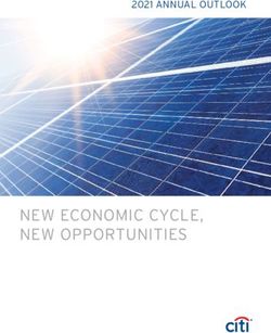 NEW ECONOMIC CYCLE, NEW OPPORTUNITIES - 2021 ANNUAL OUTLOOK - Citicorp Finance ...