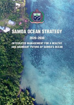 SAMOA OCEAN STRATEGY 2020-2030 - INTEGRATED MANAGEMENT FOR A HEAL THY AND ABUNDANT FUTURE OF SAMOA 'S OCEAN - SPREP