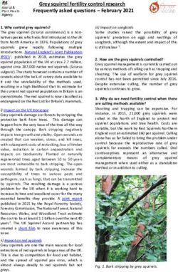 Grey squirrel fertility control research Frequently asked questions - February 2021