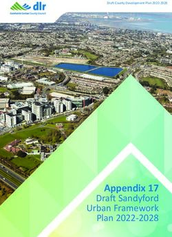 Appendix 17 Draft Sandyford Urban Framework Plan 2022-2028 - Draft County Development Plan 2022-2028 - Dún ...