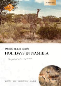 HOLIDAYS IN NAMIBIA The perfect safari experience - KAMBAKU WILDLIFE RESERVE