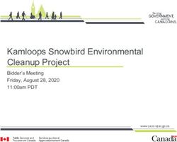 Kamloops Snowbird Environmental Cleanup Project - Bidder's Meeting Friday, August 28, 2020 11:00am PDT