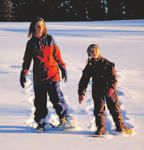 Ontario's Action Plan - For Healthy Eating And Active Living - www.HealthyOntario.com