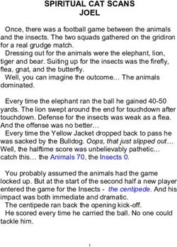 SPIRITUAL CAT SCANS JOEL - Sandy Adams