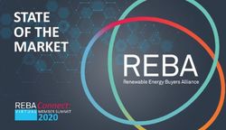 STATE OF THE MARKET - Renewable Energy Buyers Alliance