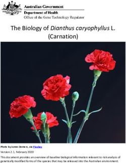 The Biology of Dianthus caryophyllus L. (Carnation)