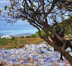 Program Catalog 2019-2020 - Amideast