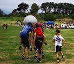 Phone/Absence Line 04 902 5596 - Raumati Beach School