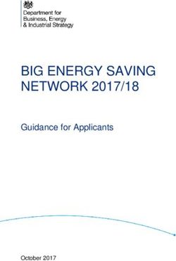 BIG ENERGY SAVING NETWORK 2017/18 - Guidance for Applicants - October 2017