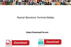 Ryanair Barcelona Terminal Salidas - Freedom Gathering