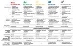 IW-Report 7/2021 Behavioral Economics and Leadership - Wirtschaftliche Untersuchungen, Berichte und Sachverhalte - Institut der deutschen Wirtschaft