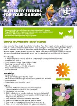 BUTTERFLY FEEDERS FOR YOUR GARDEN - National Botanic Garden of Wales