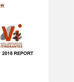 2018 REPORT - Voluntarios Itinerantes