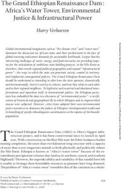 The Grand Ethiopian Renaissance Dam: Africa's Water Tower, Environmental Justice & Infrastructural Power