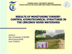 RESULTS OF MONITORING TORRENT CONTROL HYDROTECHNICAL STRUCTURES IN THE C&Acirc;RCINOV RIVER WATERSHED