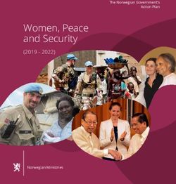 Women, Peace and Security - (2019 - 2022) The Norwegian Government's Action Plan - Regjeringen.no