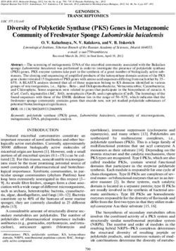 Diversity of Polyketide Synthase (PKS) Genes in Metagenomic Community of Freshwater Sponge Lubomirskia baicalensis