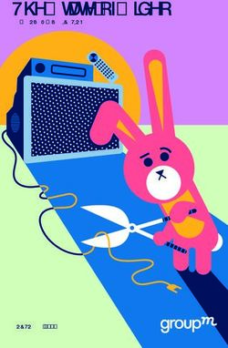 The State of Video A GROUPM PUBLICATION - OCTOBER 2018 - Primaonline