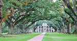 New Orleans Lafayette New Orleans - SOUTHERN CHARM & CAJUN CULTURE - the National Tour ...