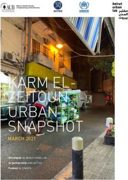 KARM EL- ZEITOUN URBAN SNAPSHOT - MARCH 2021 - ReliefWeb
