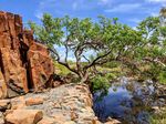 Management planning for the Dampier Archipelago