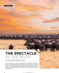 THE SPECTACLE AT THE RIVER - The Great Wildebeest Migration in Focus - Diners Club