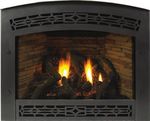 Studio Direct-Vent Fireplaces - Premium and Luxury